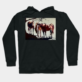 horse group Hoodie